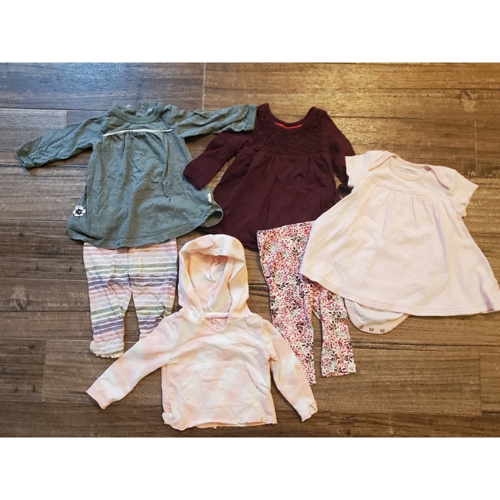Burts Bees baby Girl Clothes Bundle 6 month